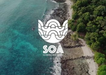 150 jovens de todo o mundo juntam-se em Carcavelos para apresentar soluções para o oceano