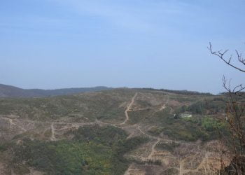 Certificação de Serviços dos Ecossistemas: Um instrumento para a valorização dos territórios rurais