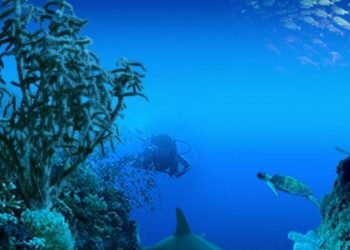 Mecanismo Ibérico permite poupança média diária de 14%  na eletricidade