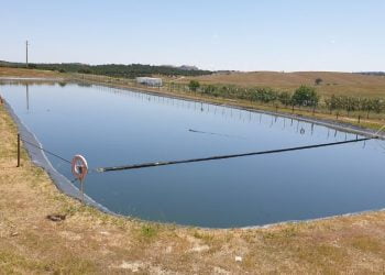 BioSmart inicia serviço limpeza de 33 lagoas pertencentes à Águas Públicas do Alentejo