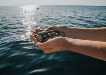 Oceano Fresco junta-se à PRIMAVERA para uma melhor gestão da aquicultura sustentável