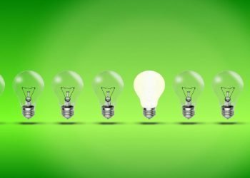 Portugal a dar passos no empreendedorismo verde 