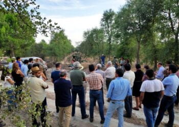 Cimeira Nacional AgroInovação 2022 com inscrições abertas