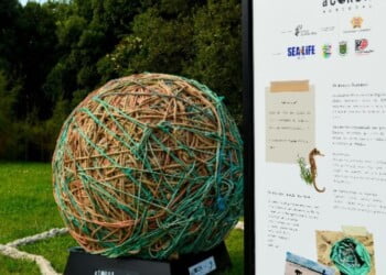 Nova exposição no SEA LIFE Porto alerta para os plásticos no oceano