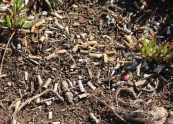 Sintra assinala Dia Internacional da Limpeza Costeira com ação no Cabo da Roca