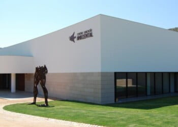 Torres Vedras abre inscrições para o projeto “Ação Jovem pelo Ambiente”