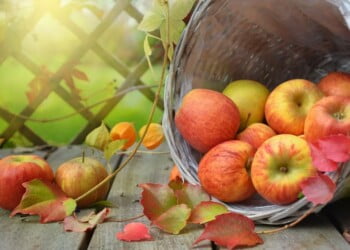 Fruta portuguesa entre as mais afetadas com resíduos de pesticidas perigosos, revela estudo