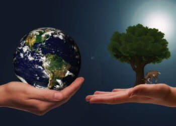 FCT NOVA dedica dois à sustentabilidade e ao bem-estar em ambiente universitário