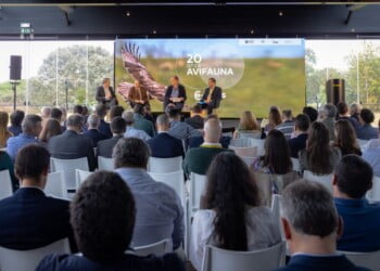 Compatibilização da energia elétrica e da salvaguarda dos valores naturais traz “desafios” e “oportunidades”