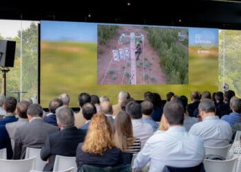 E-REDES: Um equilíbrio entre a atuação e a preservação do meio ambiente 