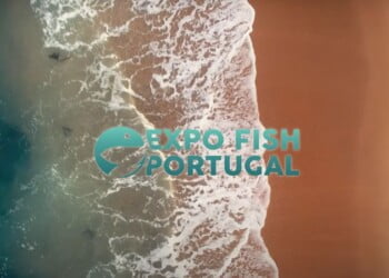 Prémio Inovação Expo Fish Portugal 2022 com candidaturas abertas até ao dia 28 de outubro