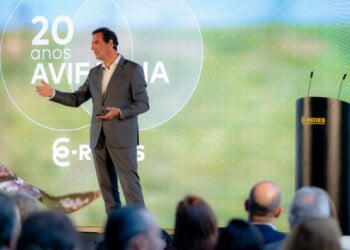 E-REDES: Um equilíbrio entre a atuação e a preservação do meio ambiente 