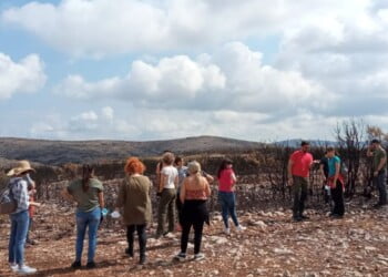 Projeto REMAS promove evento para encontrar soluções na gestão de risco de emissões pós-incêndios