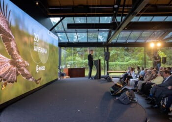 EDP tem um plano de investimento de 24 milhões de euros até 2025 para dar resposta à transição energética