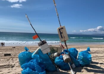 Ação de limpeza na praia do Carvalhal resulta na recolha de 600 quilos de lixo