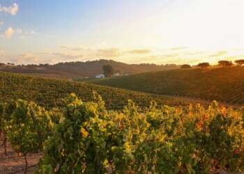 Alentejo e Ribatejo é o primeiro destino nacional a integrar sistema inteligente baseado nos princípios de turismo sustentável