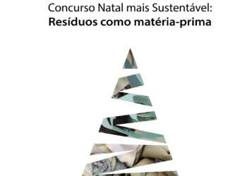 Guimarães procura árvores de Natal que incorporem têxteis ou plásticos