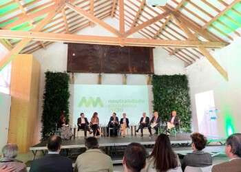 Super Bock Group quer avançar com Comunidade de Energia em Matosinhos