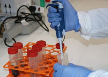 Investigadores da UC estão a desenvolver projeto para dar resposta aos painéis solares em fim de vida