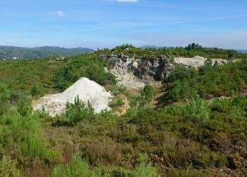 Savannah faz atualização da revisão do Estudo de Impacto Ambiental do Projeto Lítio do Barroso