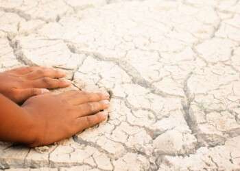 Alunos da região Norte distinguidos pela criatividade sobre a importância da água