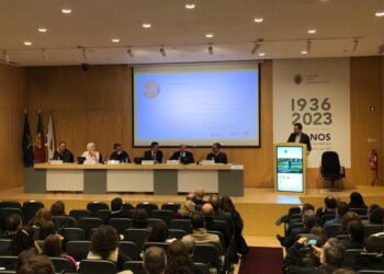 Interesses económicos, desconhecimento e desinteresse político têm dificultado implementação da Lei dos Solos em Portugal 