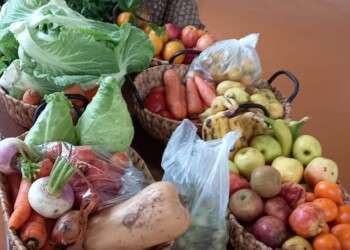 Albergaria recolhe 60 cabazes de alimentos em campanha de combate ao desperdício alimentar