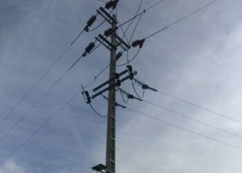 “Queremos continuar a contribuir ativamente para o desenvolvimento de soluções eficazes para a proteção da avifauna”