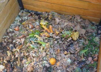 Compostagem comunitária é uma prática no concelho de Gaia