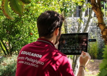 Jardim Zoológico de Lisboa já tem datas para workshops de 2023