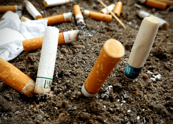 Pacto Climático Europeu apela às autarquias para que apliquem “Lei das beatas”