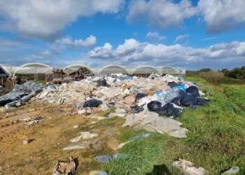 Ação de fiscalização do ICNF no Sudoeste Alentejano