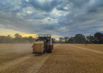 ACCIONA Energía fornece energia renovável ao Grupo Violas