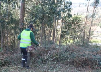 VITRUS está a limpar 300 hectares de faixas de gestão de combustível em Guimarães
