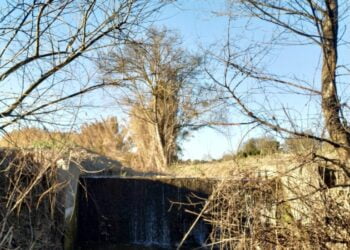 ANPlWWF irá remover barreira fluvial em Santarém