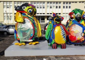 Pinguins-de-Magalhães voltam a Portugal