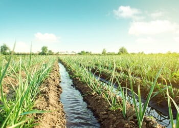 Melhor gestão hídrica pode minimizar impacto das alterações climáticas