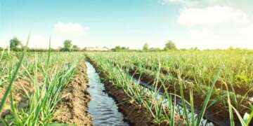 Melhor gestão hídrica pode minimizar impacto das alterações climáticas