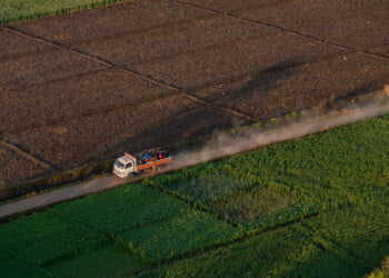 Crédito Agrícola lança campanha com soluções para agricultores e empresas agroalimentares