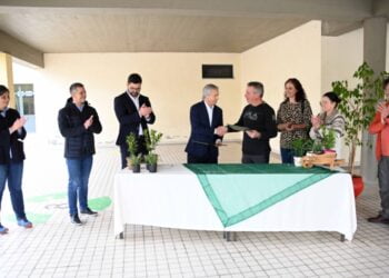 Famalicão quer 60 mil árvores até 2030