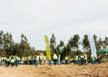 rePLANT apresenta inovação de tecnologias na Mata do Braçal