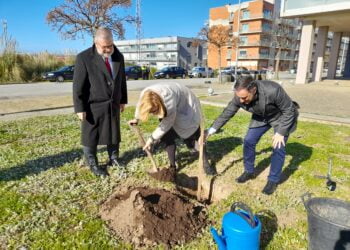 Projeto “Rolha a Rolha semeia a Recolha” permite plantação de 1541 árvore na Maia e em Vila do Conde 