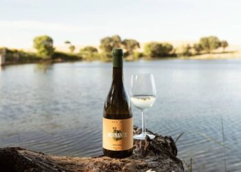 Marca alentejana “Mainova” coloca sustentabilidade no centro da atividade 