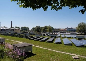 Pacto do Porto para o Clima promove maior eficiência energética