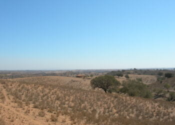 Baixo Alentejo com 94% de suscetibilidade à desertificação