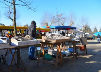 Feirantes de Vila Nova de Gaia que separem resíduos terão isenção de 50%