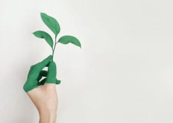 NOVA FCSH assinala Dia da Sustentabilidade a 21 de março