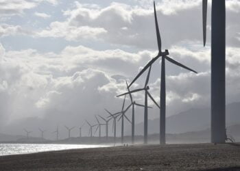 ONGA propõem critérios mais rigorosos para proposta de energia eólica ‘offshore’