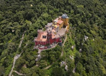 Sintra vai plantar mais de 5 mil árvores até ao final de 2023