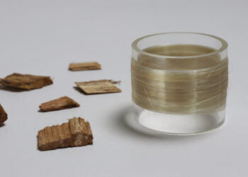 Investigadores portugueses estão a usar pasta de eucalipto para criar fibras têxteis rastreáveis e funcionais